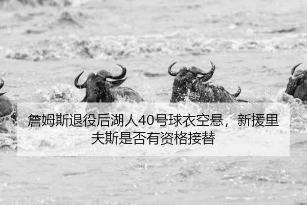 zhan-mu-si-tui-yi-hou-hu-ren-hao-qiu-yi-kong-xuan-xin-yuan-li-fu-si-shi-fou-you-zi-ge-jie-ti-2-331.jpg
